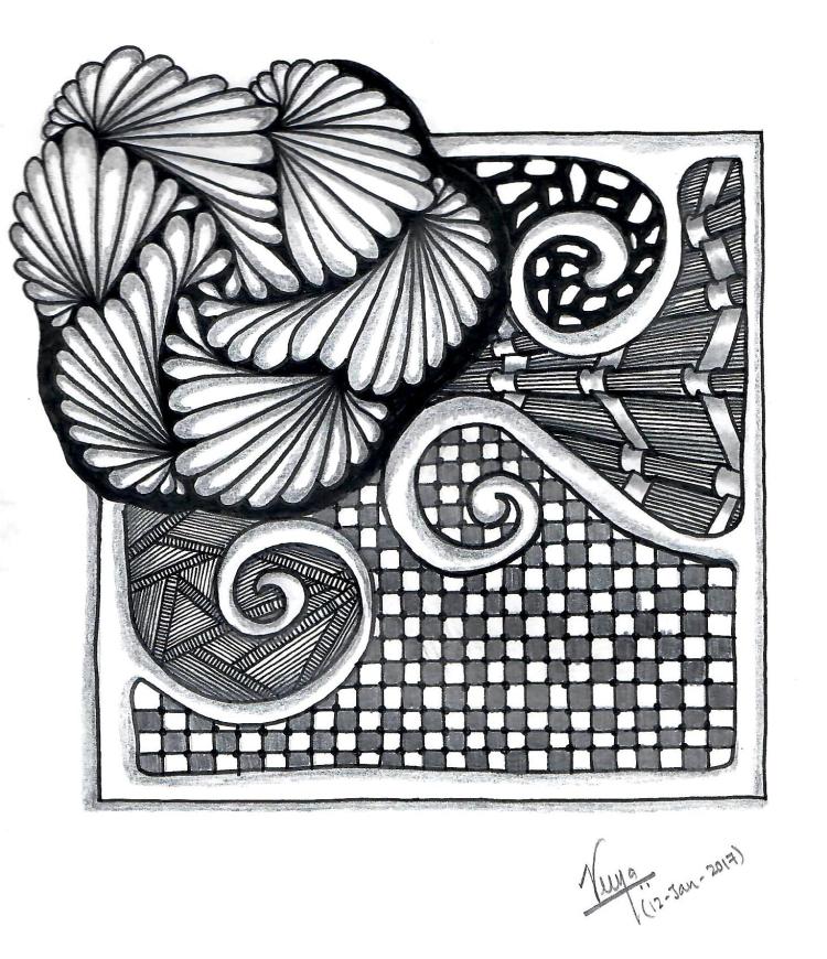 zen8a_scan_hamadoxii